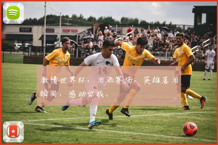 激情世界杯，泪洒赛场，英雄落泪瞬间，感动你我。