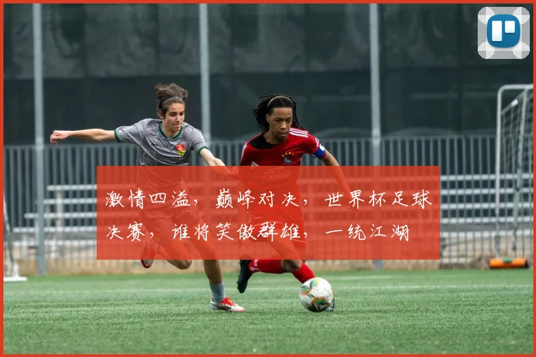 激情四溢，巅峰对决，世界杯足球决赛，谁将笑傲群雄，一统江湖